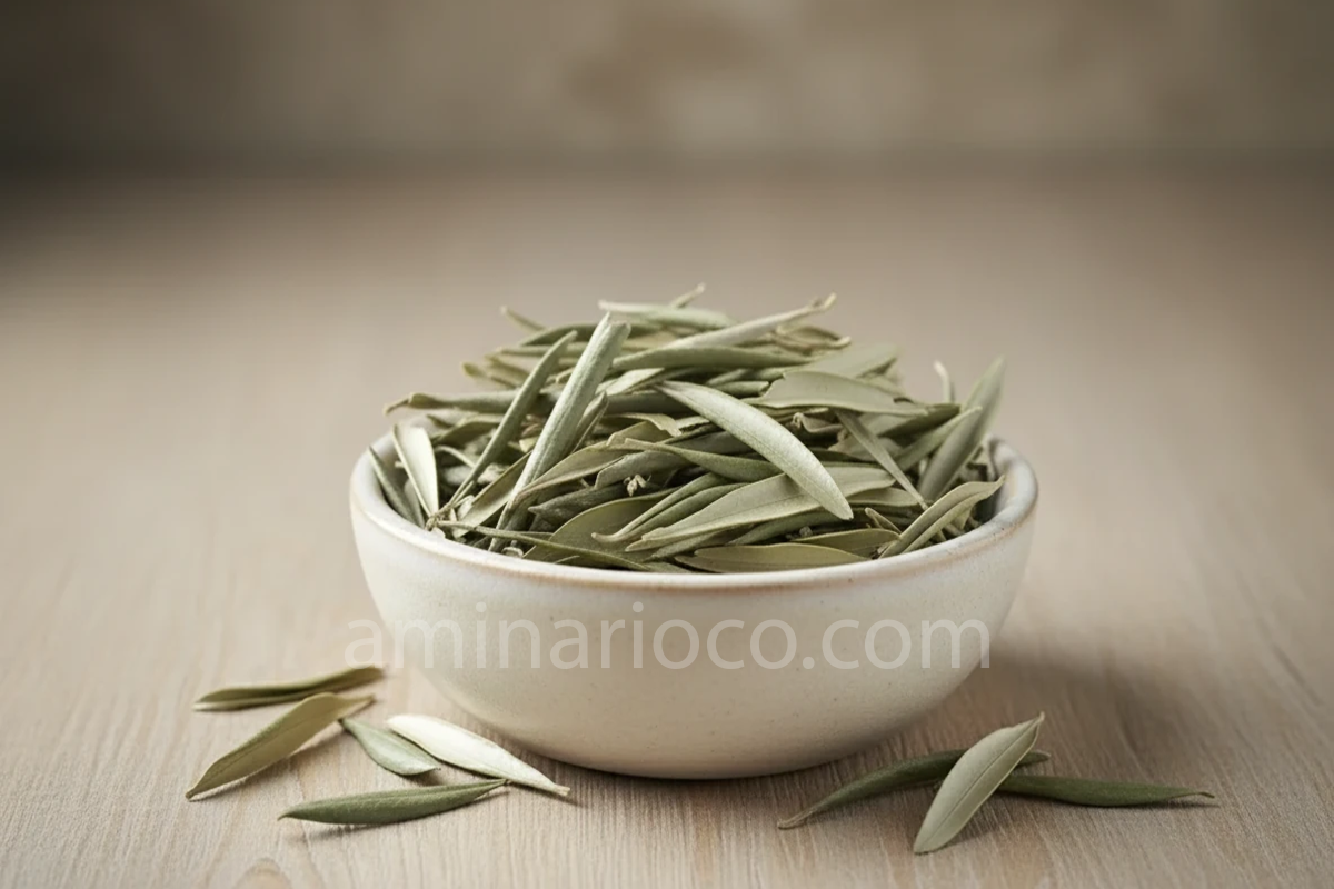 Olive leaves aminario