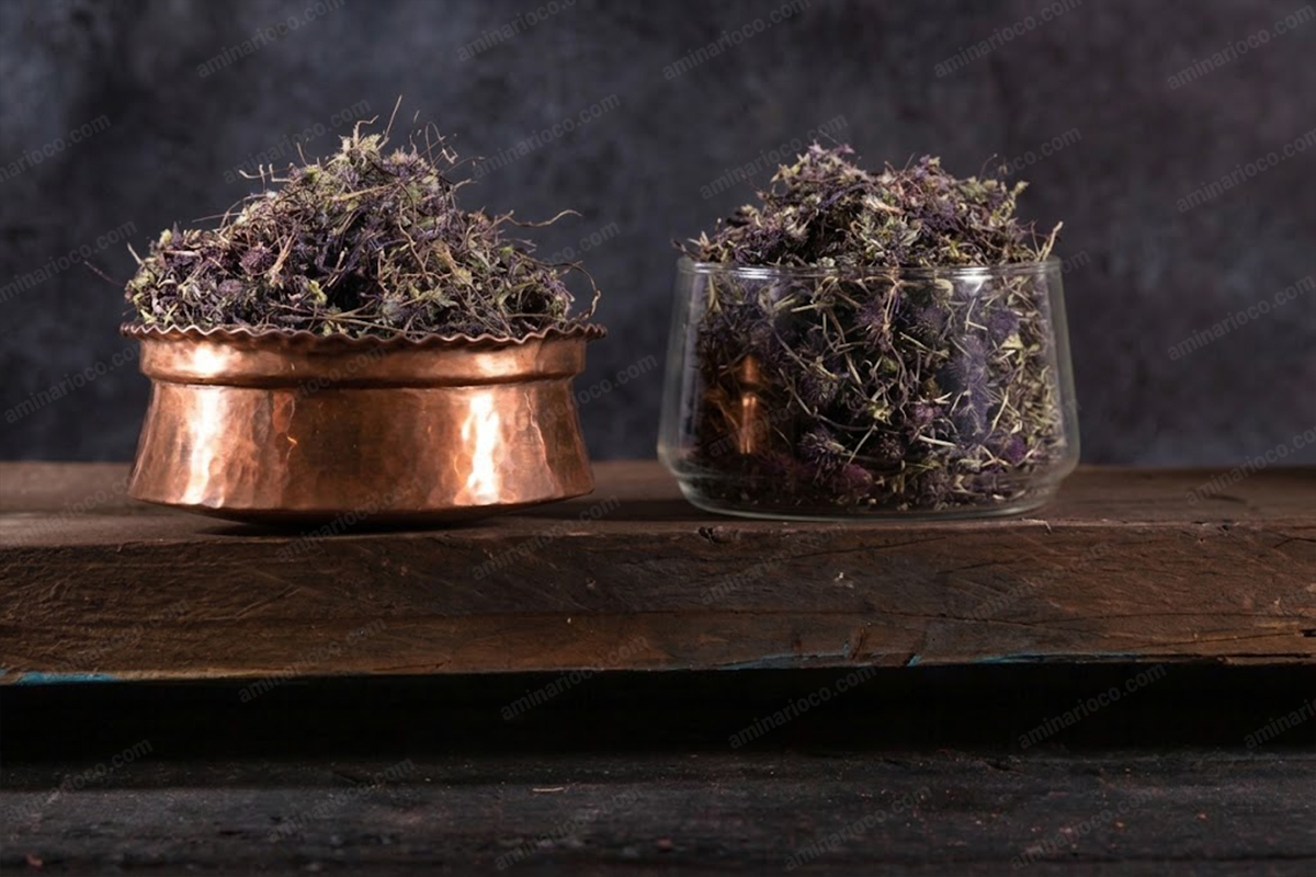 Hyssop