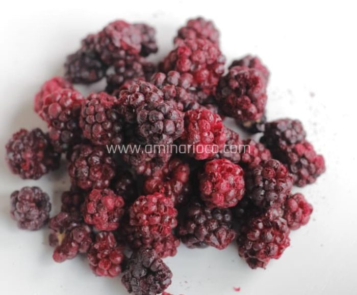Freeze dried Blackberry