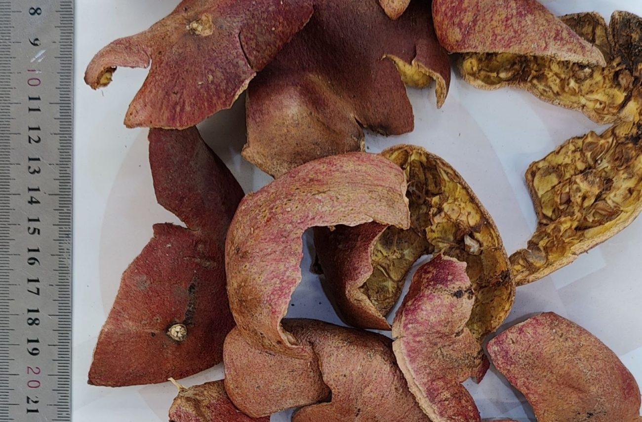 Pomegranate Peel Whole
