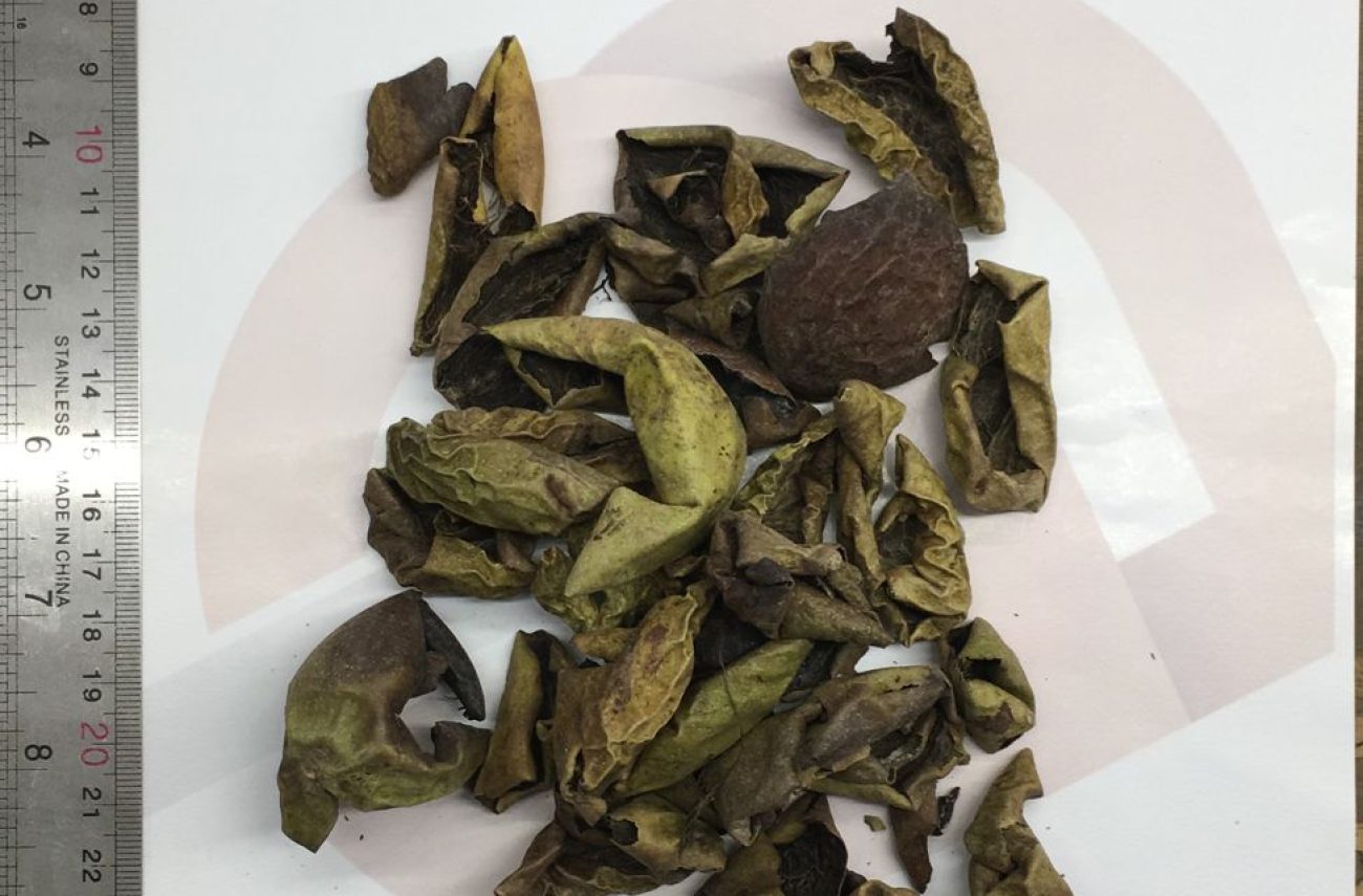 Wallnut Green Peel
